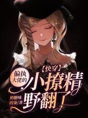 快穿:偏执大佬的小撩精野翻了
